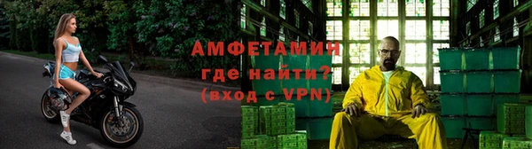 сатива Алексеевка