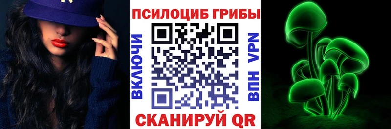 купить наркотики цена  Краснослободск  Псилоцибиновые грибы Psilocybine cubensis 